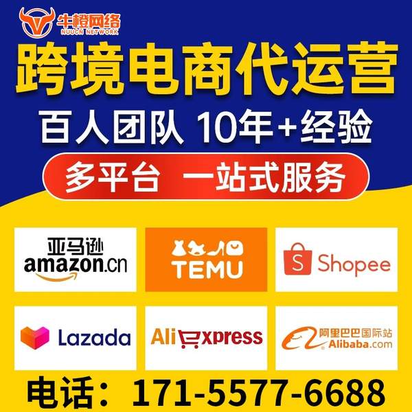 什邡电商代运营