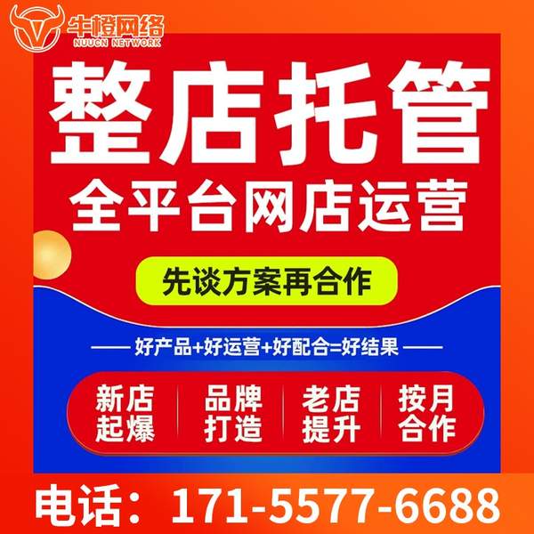 什邡电商代运营