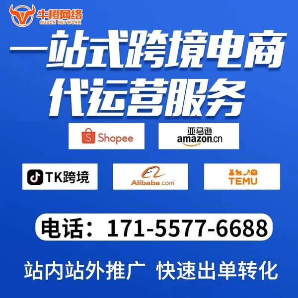什邡电商代运营